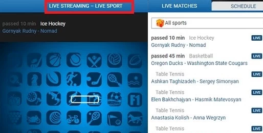 1xbet live stream